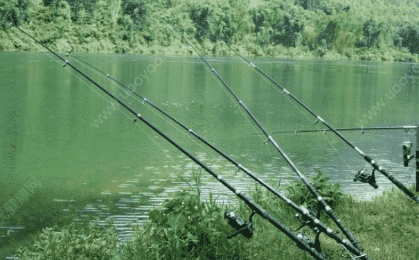 釣青魚餌料配方有哪些？怎么配制魚餌？(1)