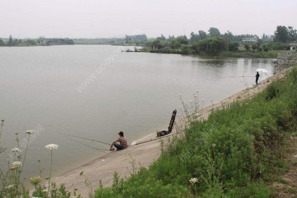 3名初一男生在水庫溺亡，學生預防溺水安全知識需了解(4)