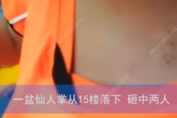 仙人掌從15樓掉落，男孩身上多處被砸成馬蜂窩(2)