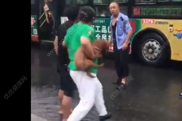 抱狗乘公交車遭拒，男子與司機雨中斗毆(2)