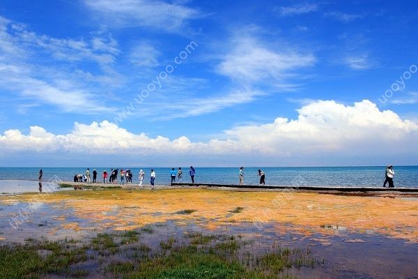 夏天去哪玩比較好？夏天去哪玩涼快？(5)