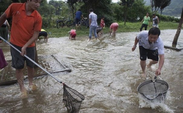 發洪水怎么抓魚？發洪水時的抓魚方法(1)