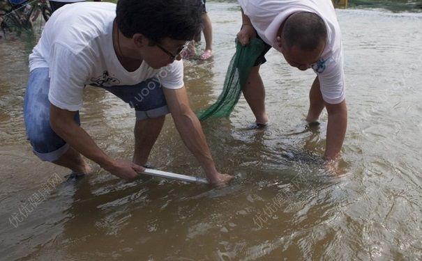 發洪水怎么抓魚？發洪水時的抓魚方法(2)