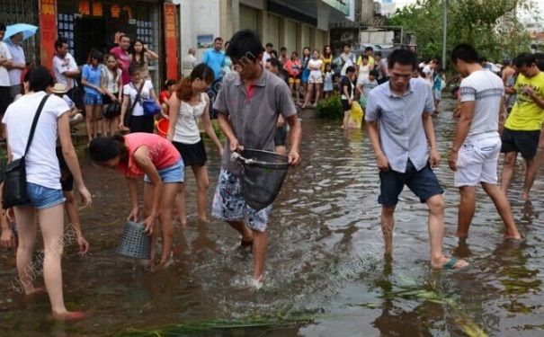 發洪水怎么抓魚？發洪水時的抓魚方法(6)