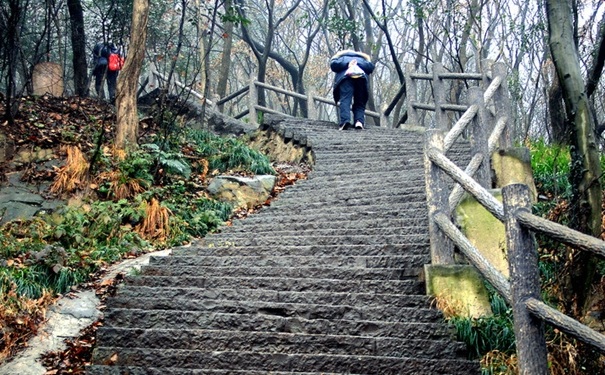 爬山瘦哪里？爬山能減肚子嗎？(1)