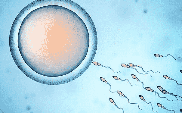 精子存活率低有哪些原因？精子存活率低吃什么好？(1)