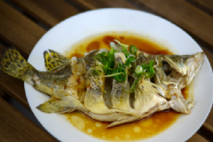 桂魚(yú)的存儲(chǔ)有什么方法？桂魚(yú)的食用方法有什么？[圖]