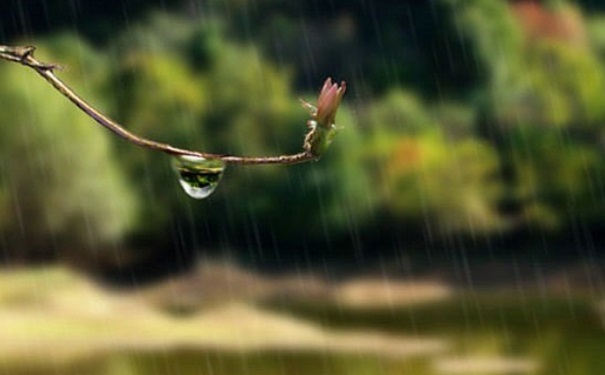 梅雨季節如何防潮？梅雨季節房間潮濕怎么辦？(1)