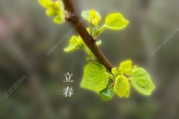 立春養(yǎng)生攻略有哪些？立春養(yǎng)肝有哪些方法？(1)