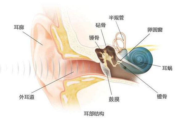 經(jīng)常挖耳屎影響很大！一招解決耳屎煩惱(2)