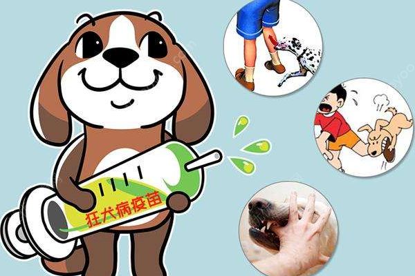 小男孩感染狂犬病“學狗叫”？警方：系謠言(4)