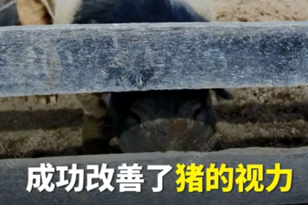 納米眼藥水有望取代眼鏡！以后都不用做小四眼了？(4)