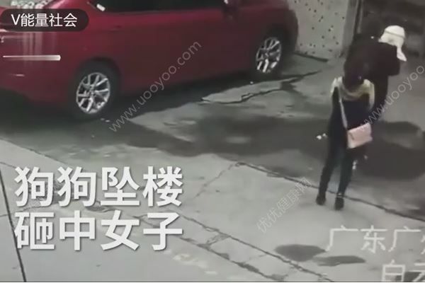 高空墜狗路過女子被砸傷，結(jié)果狗卻活著，如何防止高空拋物？(1)