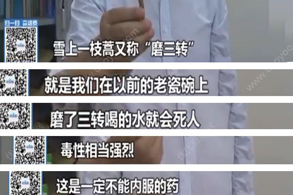 重慶“飲自配藥酒中毒事件”原因查明，藥酒內(nèi)含劇毒中藥！(4)