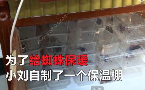 電熱毯燒死寵物 如何防止電熱毯短路？(4)