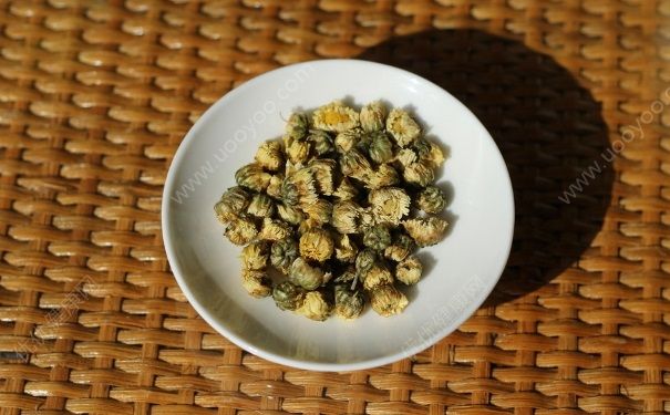 菊花茶能降血壓嗎？菊花茶能降血脂嗎？(1)