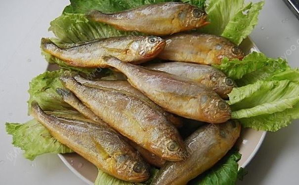 深圳小黃魚兩條4628元，吃小黃魚有什么好處？(2)