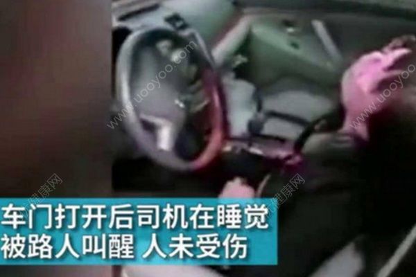 女司機開車睡著撞樹上，半天才將女司機叫醒(1)