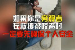 惡犬撲咬無路逃！下一步你該咋辦？[多圖]