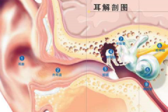 經(jīng)常挖耳屎影響很大！一招解決耳屎煩惱[多圖]