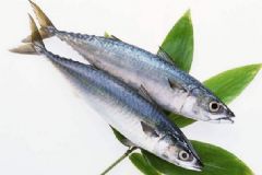 冬天多吃魚有何好處？冬天吃魚有何禁忌？[圖]