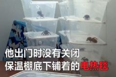 電熱毯燒死寵物 如何防止電熱毯短路？[多圖]