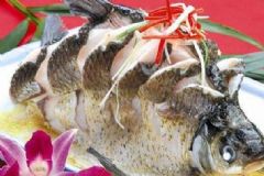 吃魚的哪個部位最營養？魚的哪個部位營養價值高？[圖]