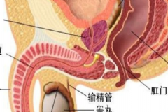 有效預防睪丸炎的方法有哪些？預防睪丸炎有什么好方法？[圖]