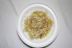 豆芽是酸性還是堿性？豆芽是堿性食物嗎？[多圖]