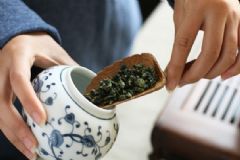 茶葉應該怎么保存好？茶葉有什么好處？[多圖]