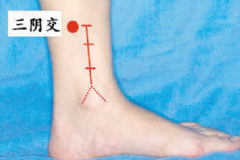 三陰交穴位在身體哪個部位？女性按摩三陰交有什么好處？[圖]