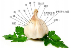 生吃大蔥有什么好處？生吃大蔥的好處[圖]