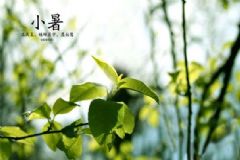 小暑起居養(yǎng)生有哪些注意事項？小暑起居養(yǎng)生常識[圖]