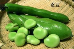 豌豆和蠶豆一樣嗎？蠶豆和豌豆的區(qū)別[多圖]