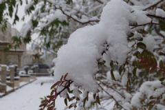 大雪節氣 記得防寒保暖和養生[多圖]