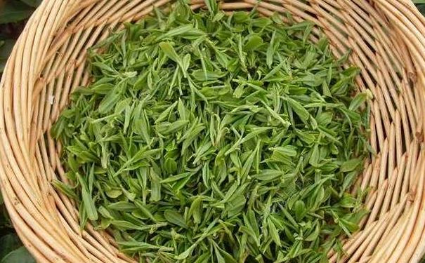 茶葉應該怎么保存好？茶葉有什么好處？(4)