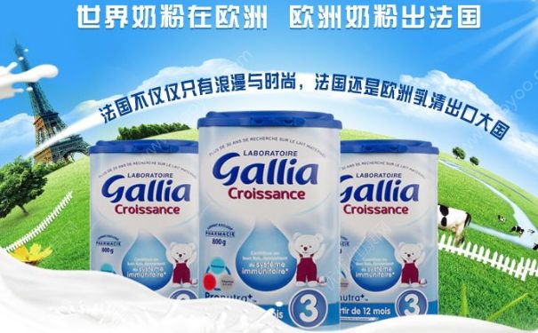 法國Gallia奶粉好不好？法國Gallia奶粉怎么樣？(1)