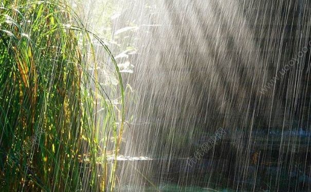 打雷下雨可以洗澡嗎？打雷下雨洗澡有危險嗎？(4)