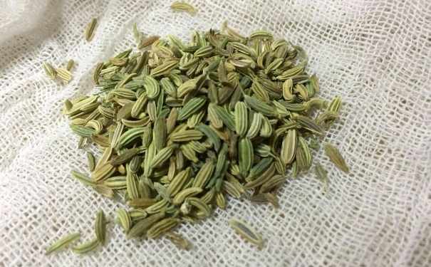 小茴香有什么作用？小茴香的作用和功效(1)