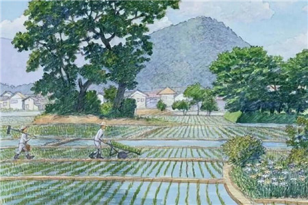 種豆南山，東籬采菊