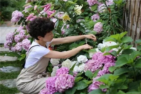 愛養花的女人