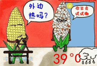 近40℃高溫，花再不管，就只剩盆了！