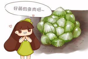 5月不養(yǎng)多肉？后悔去吧