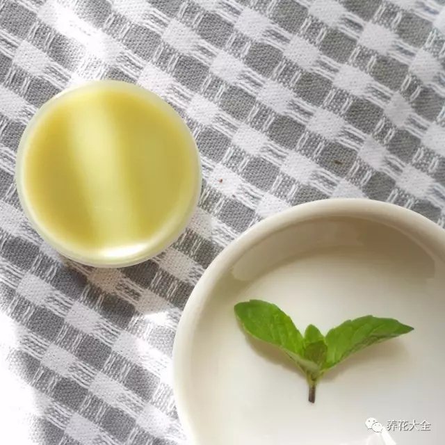 薄荷的功效8