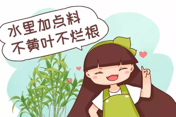 水里加點料，葉跟打了蠟似的，賊綠賊亮！