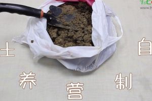 自制營(yíng)養(yǎng)土視頻：這三種生活垃圾，可以制作營(yíng)養(yǎng)土