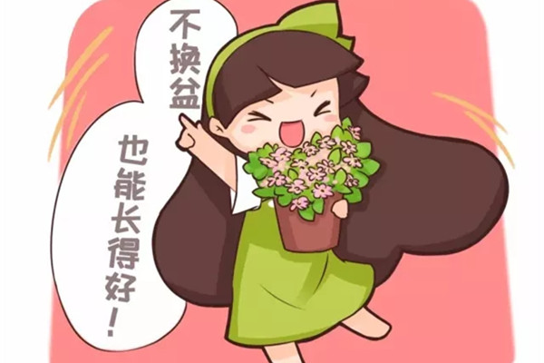 他養(yǎng)花十年沒換過盆，年年花開滿枝，只因?yàn)樽隽诉@個