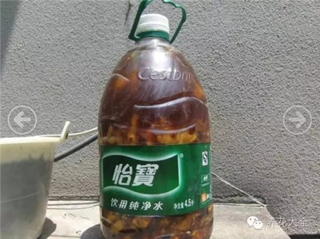 發酵3個月