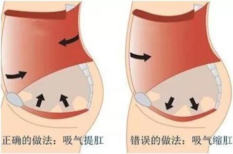 西安東大肛腸醫院揭秘：一項神奇的運動保護你的小菊花