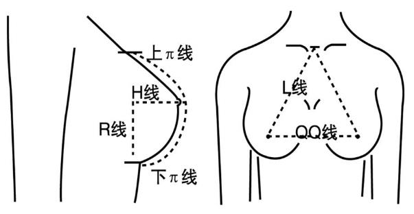 高中女生胸部應該多大？高中女孩乳房一般多大發育標準？[圖]